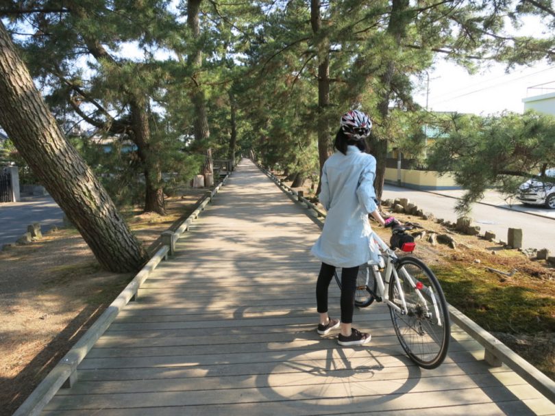 桜サイクリングin静岡市 その1 - TABIRIN(たびりん)