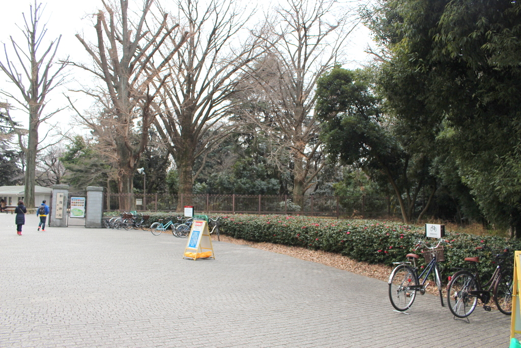 新宿 御苑 自転車