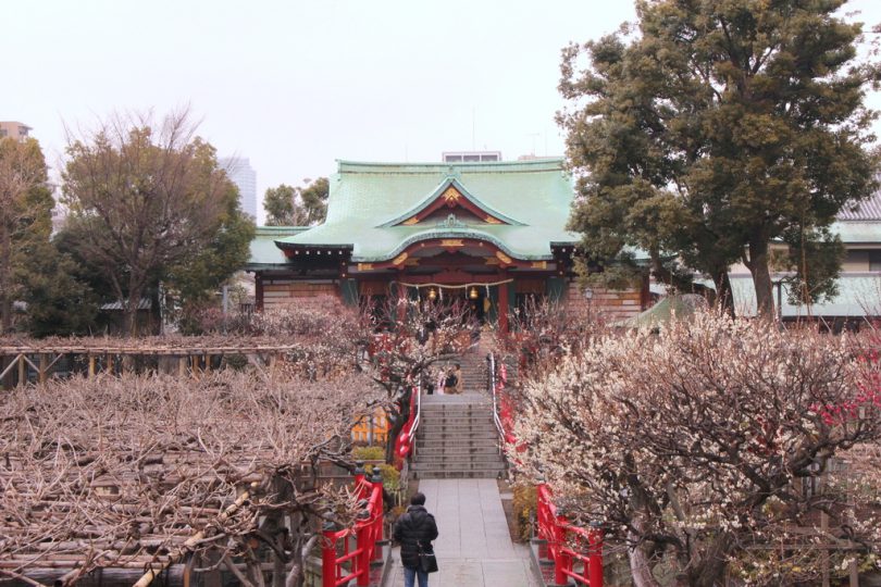 梅の名所 その 亀戸天神 Tabirin たびりん