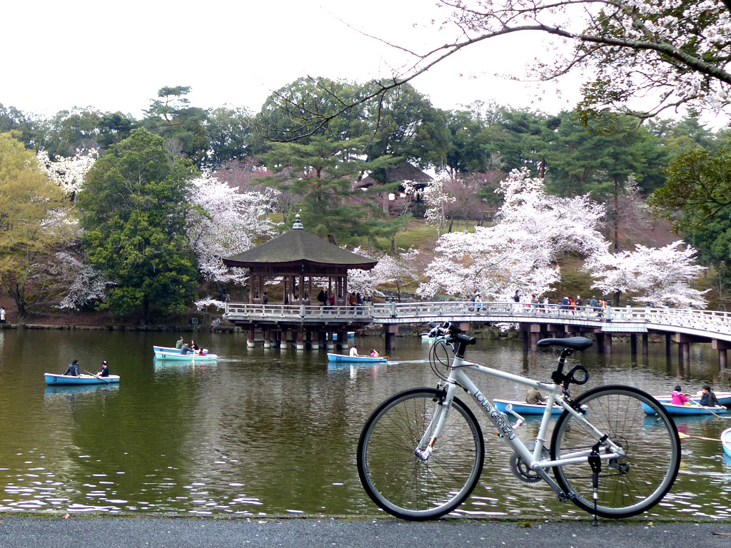 【奈良県】おすすめ桜（お花見）サイクリングコース～日本さくらの名所100選 奈良公園－郡山城編～