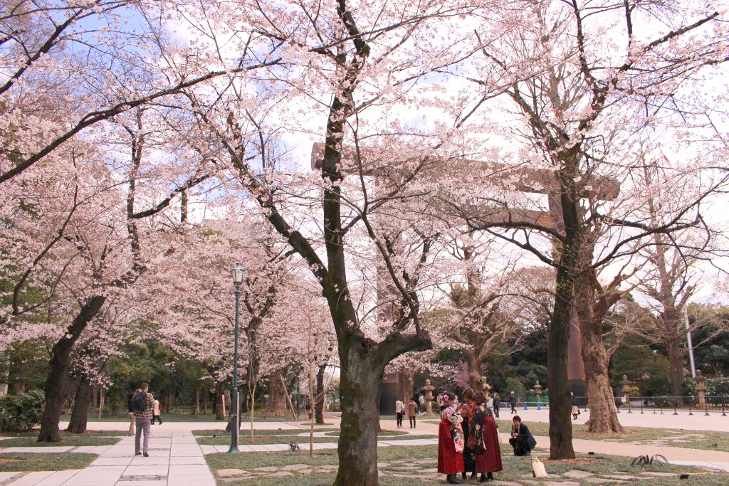 【東京都】靖国神社・千鳥ヶ淵周辺の桜を見に散策！市ヶ谷駅方面への眺めは格別