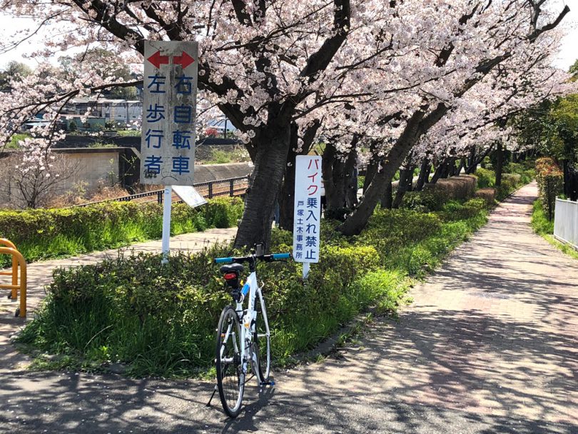 神奈川県 戸塚 大船 から鎌倉 江の島 海沿い ロケ地サイクリング Tabirin たびりん