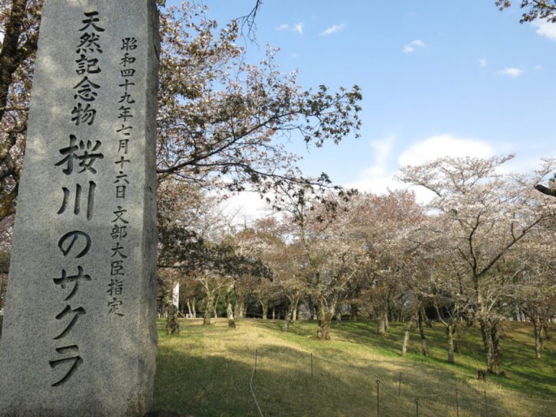 磯部稲村神社