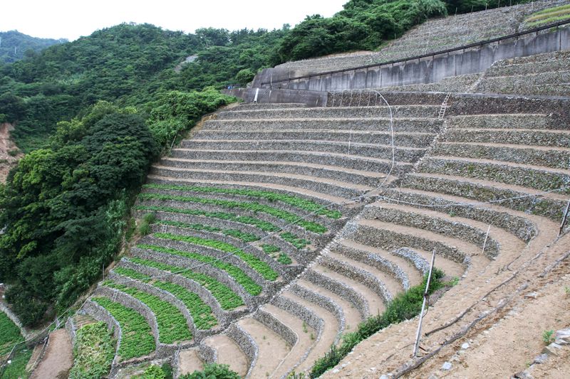 宇和島・四万十だんだん街道（蒋渕～日吉）