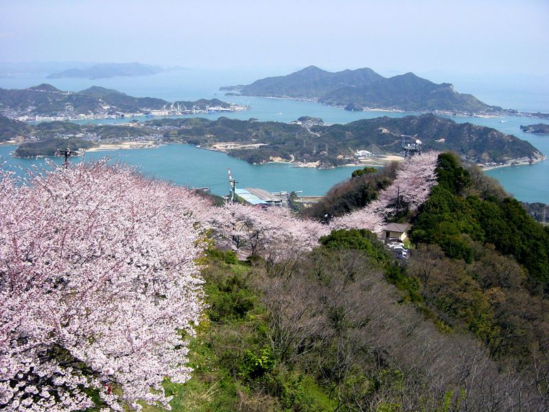 ゆめしま海道サイクリングコース（岩城島コース)