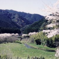 高川ダム公園