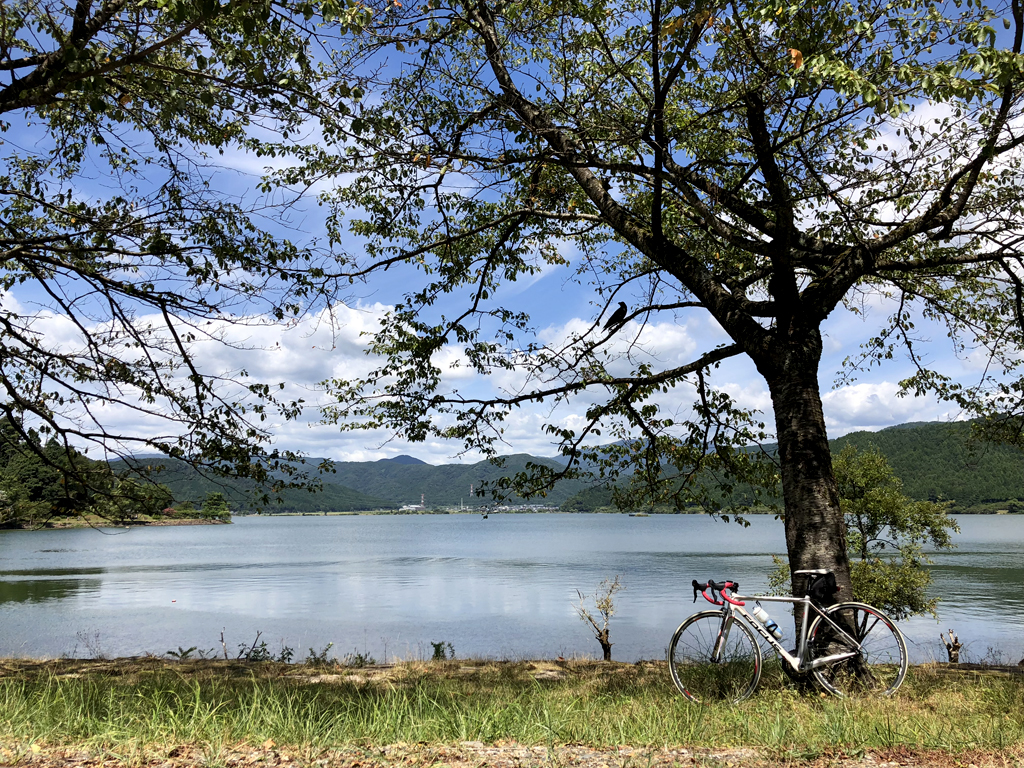 【滋賀県】ビワイチは長すぎる！という方に、琵琶湖すぐ近くのヨゴイチ（余呉湖1周）のススメ