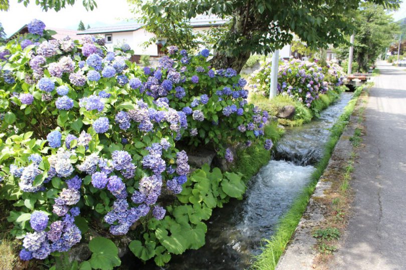 新田の水路