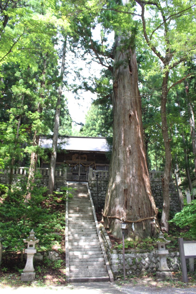 細野諏訪神社 拝殿