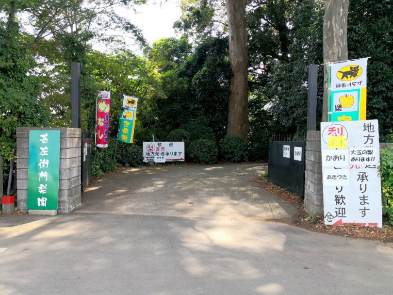 甚左衛門梨園の入口