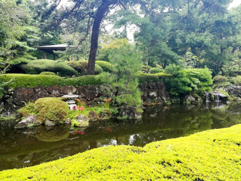 大宮公園 日本庭園