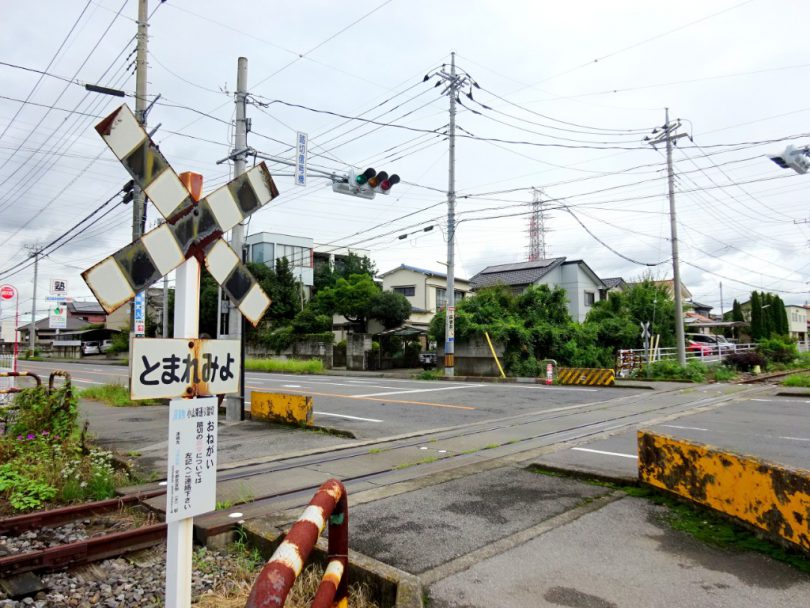 栃木県】日帰り・お手軽!小山市をシェアサイクルで満喫しました