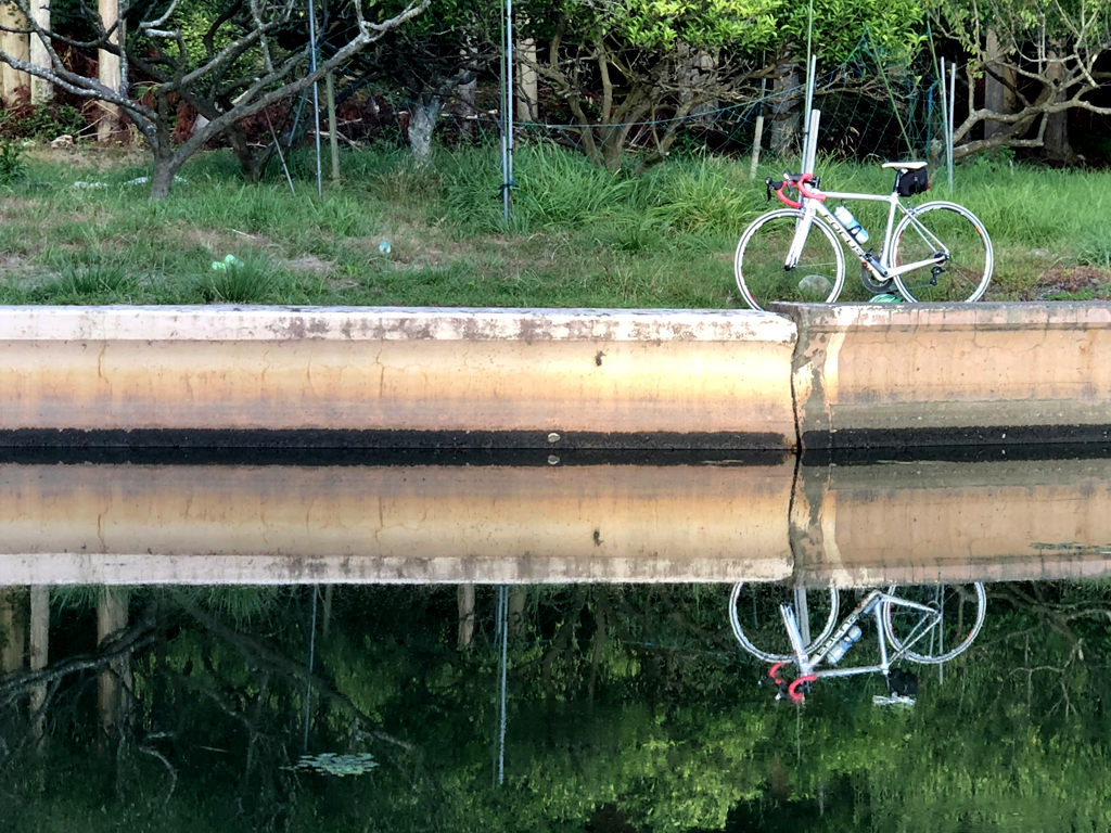 【福井県】関西から日帰りもできる！美しい５つの湖を3時間で巡るゴコイチ（三方五湖一周）サイクリング