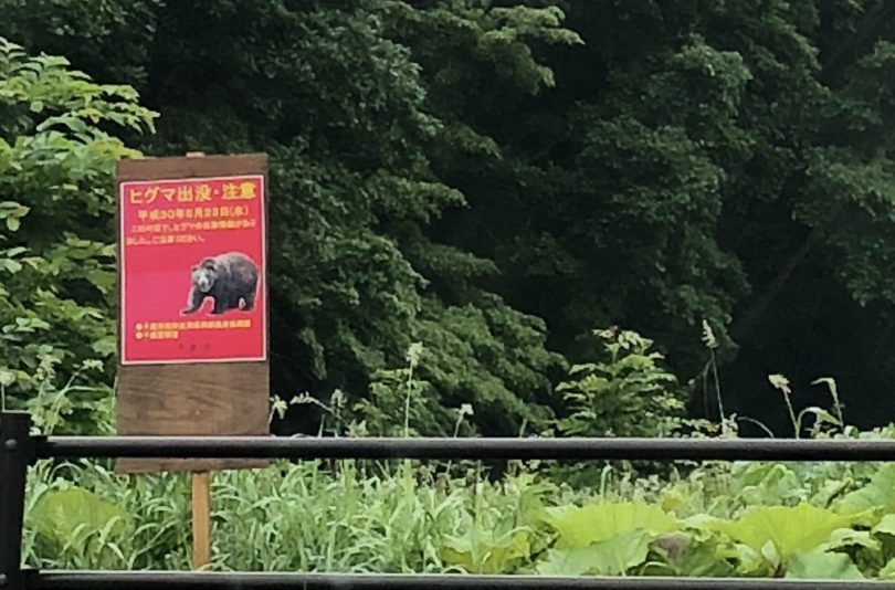 熊出没注意