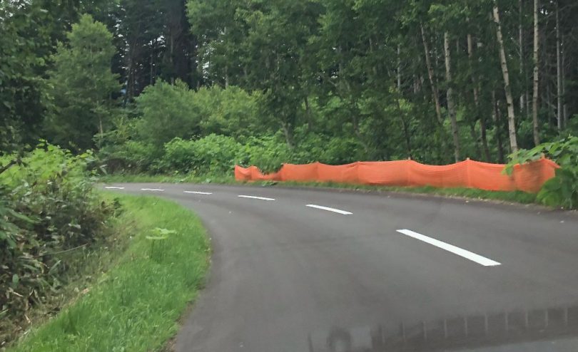 カーブ安全対策
