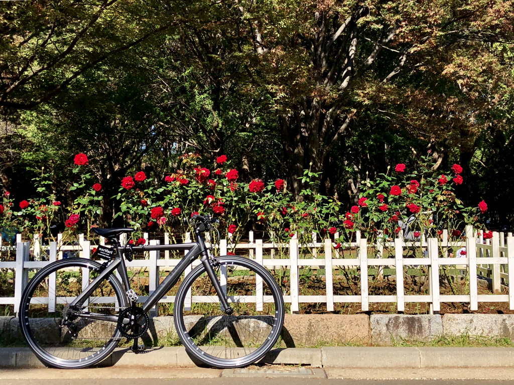 代々木 公園 自転車 教室