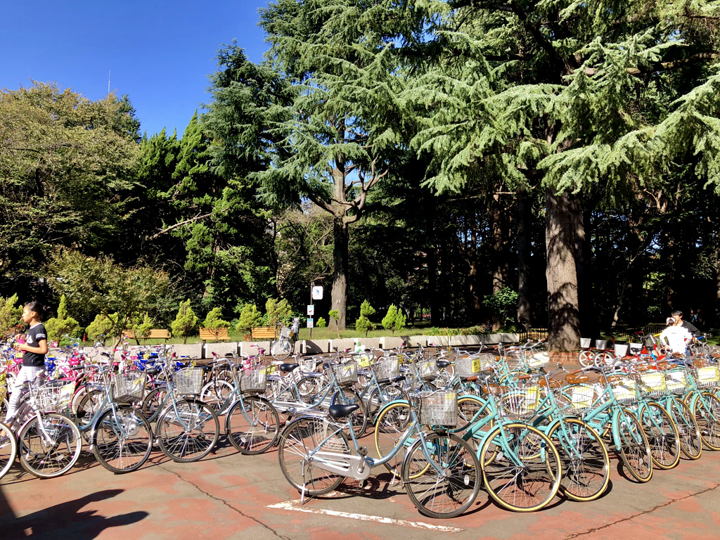 代々木 公園 自転車 教室