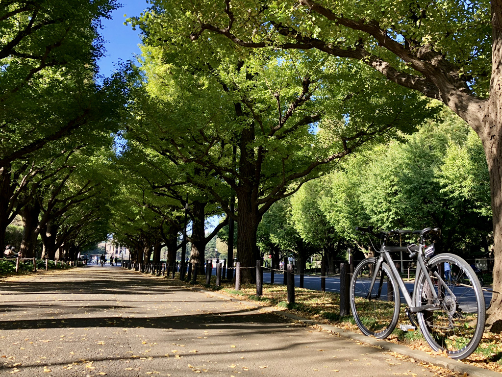 代々木公園 自転車乗り入れ