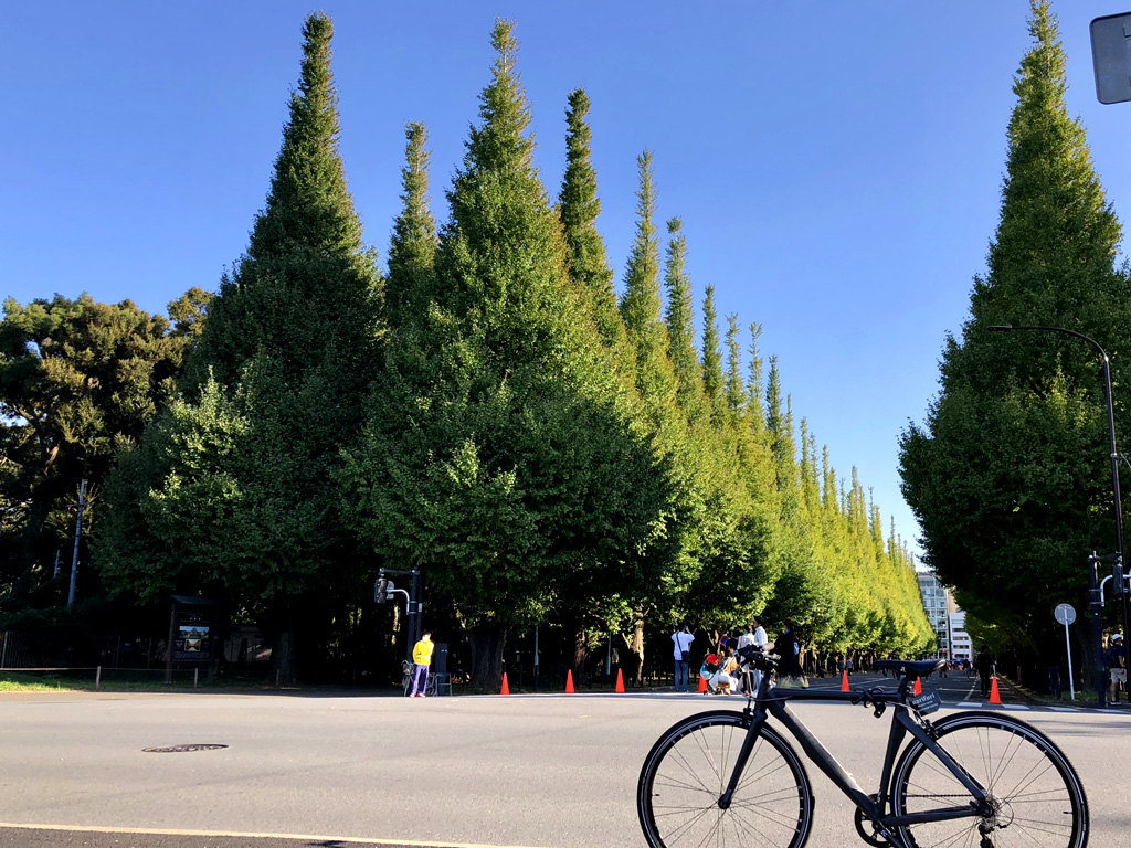 代々木公園 自転車乗り入れ