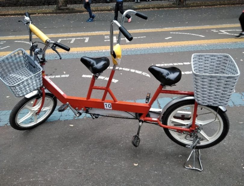 二 人 乗り 自転車 レンタル 東京