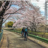 霞川ウォーキングコース