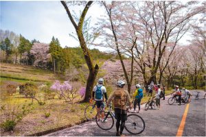 立正佼成会の桜並木