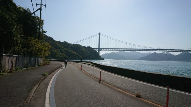 向島サイクリングロード　