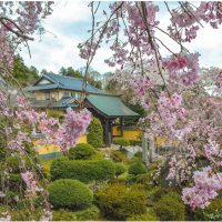 真浄寺