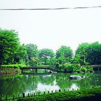 浜川運動公園