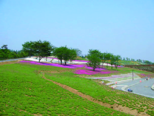 八王子山公園（北部運動公園）