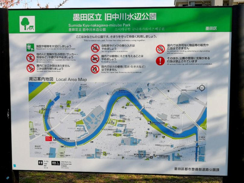 東京都 荒川サイクリングロード近くの 旧中川の河津桜 を見に行ってみた Tabirin たびりん