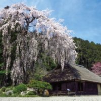 高麗神社と高麗家住宅