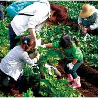 中田やつ耕園