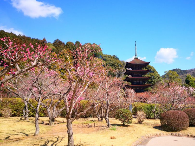 8.瑠璃光寺