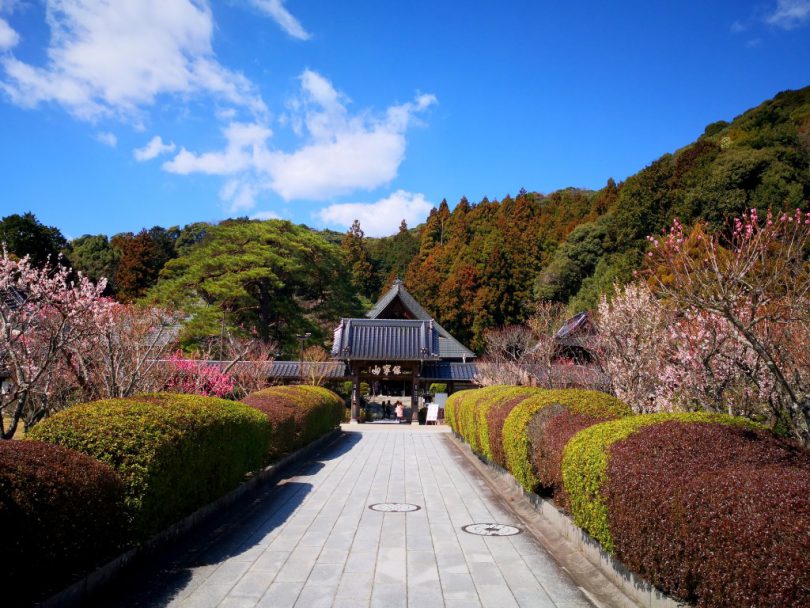 10.瑠璃光寺