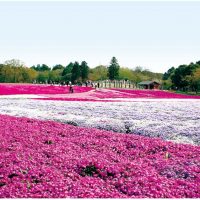 富田さとにわ耕園