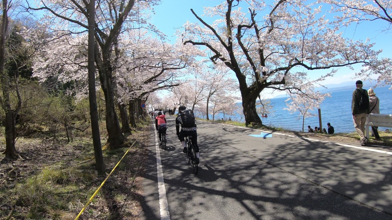 【滋賀県】初心者おすすめ！琵琶湖サイクリング”ビワイチ”をレポート