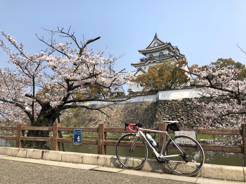 大阪府 自転車でめぐる大阪市内 近郊のサイクリングロード 桜スポットをご紹介 Tabirin たびりん