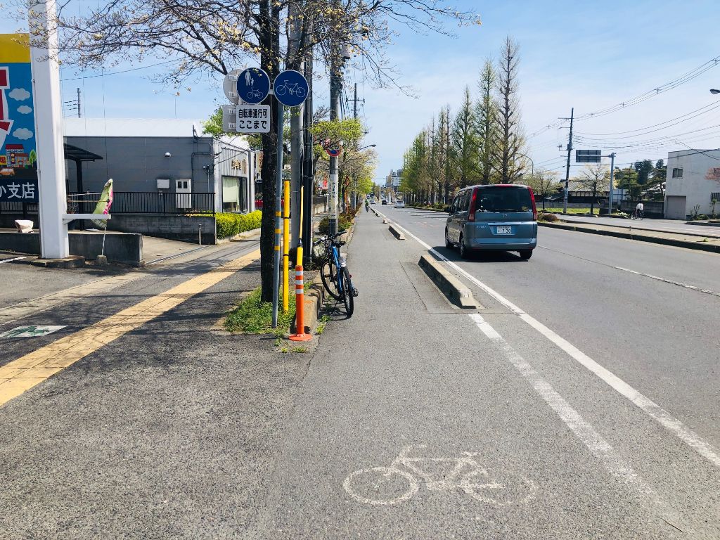 茨城県】450万本の青い花畑「国営ひたち海浜公園」をサイクリング