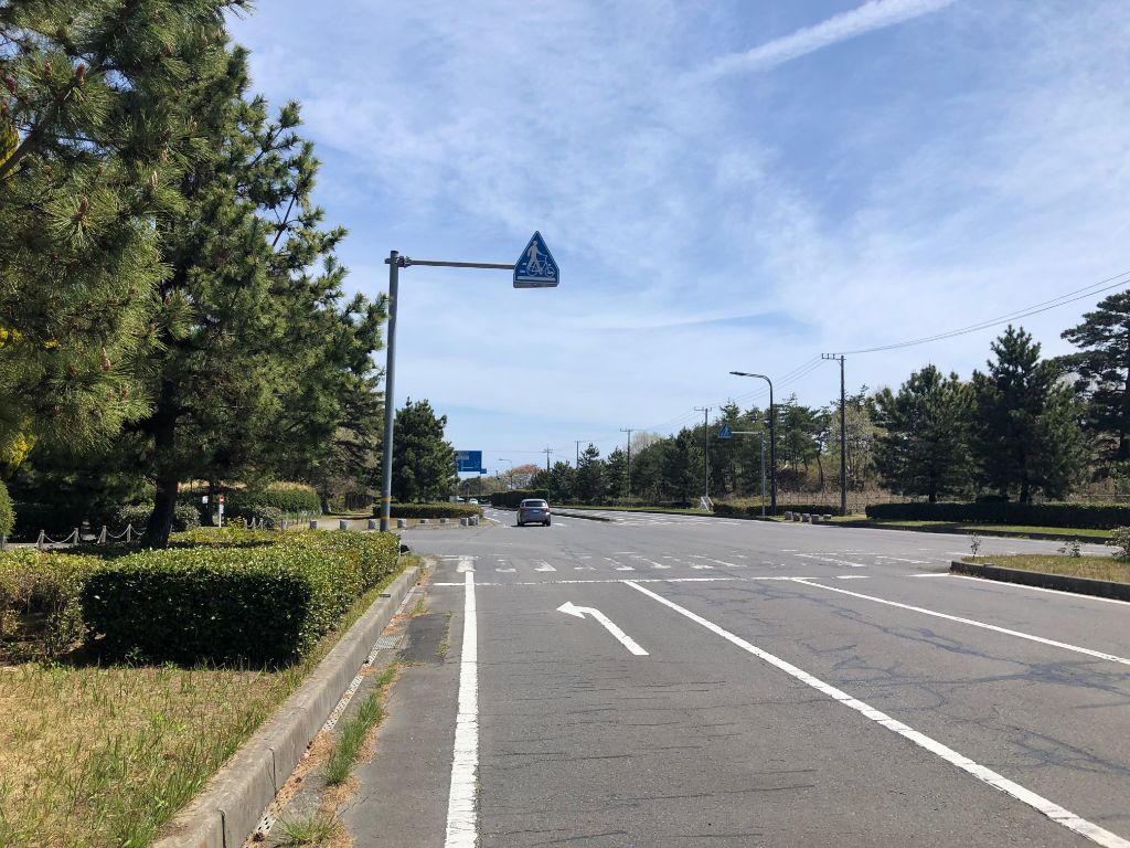 茨城県】450万本の青い花畑「国営ひたち海浜公園」をサイクリング