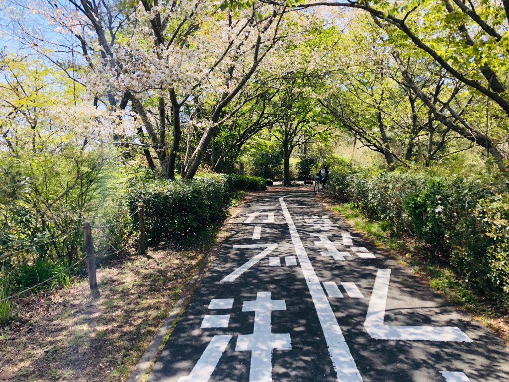 茨城県】450万本の青い花畑「国営ひたち海浜公園」をサイクリング
