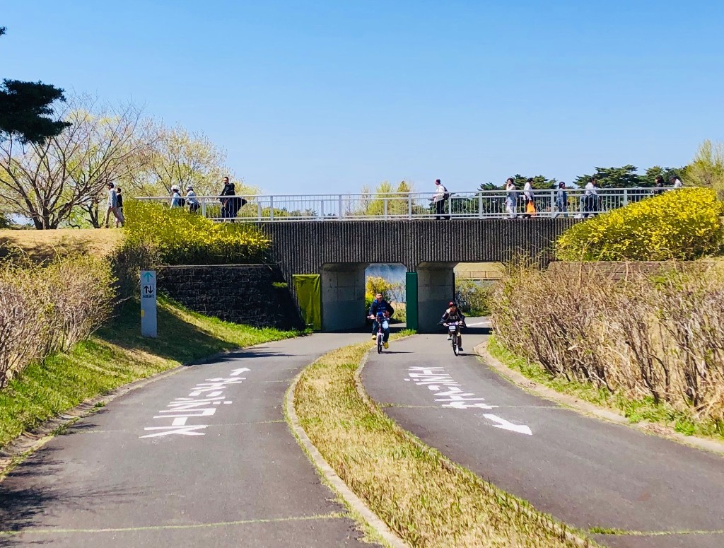 茨城県】450万本の青い花畑「国営ひたち海浜公園」をサイクリング