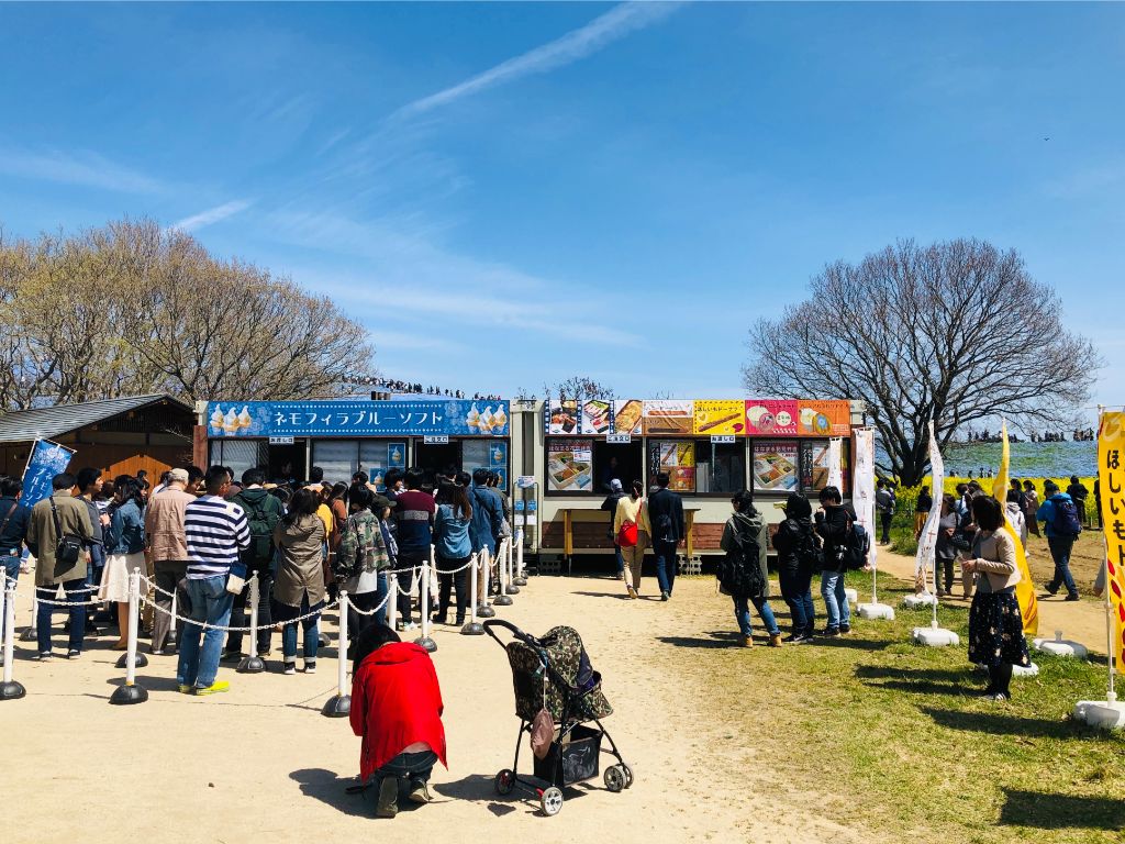 茨城県】450万本の青い花畑「国営ひたち海浜公園」をサイクリング