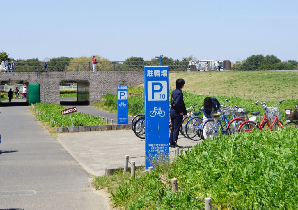 茨城県 450万本の青い花畑 国営ひたち海浜公園 をサイクリングしよう 19年版 Tabirin たびりん