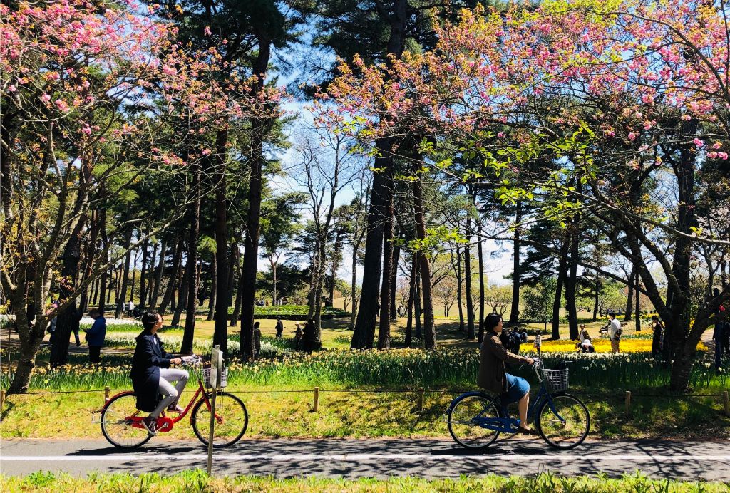 東京都 ファミリーにおススメ 都内でサイクリングを楽しめる10の公園 Tabirin たびりん