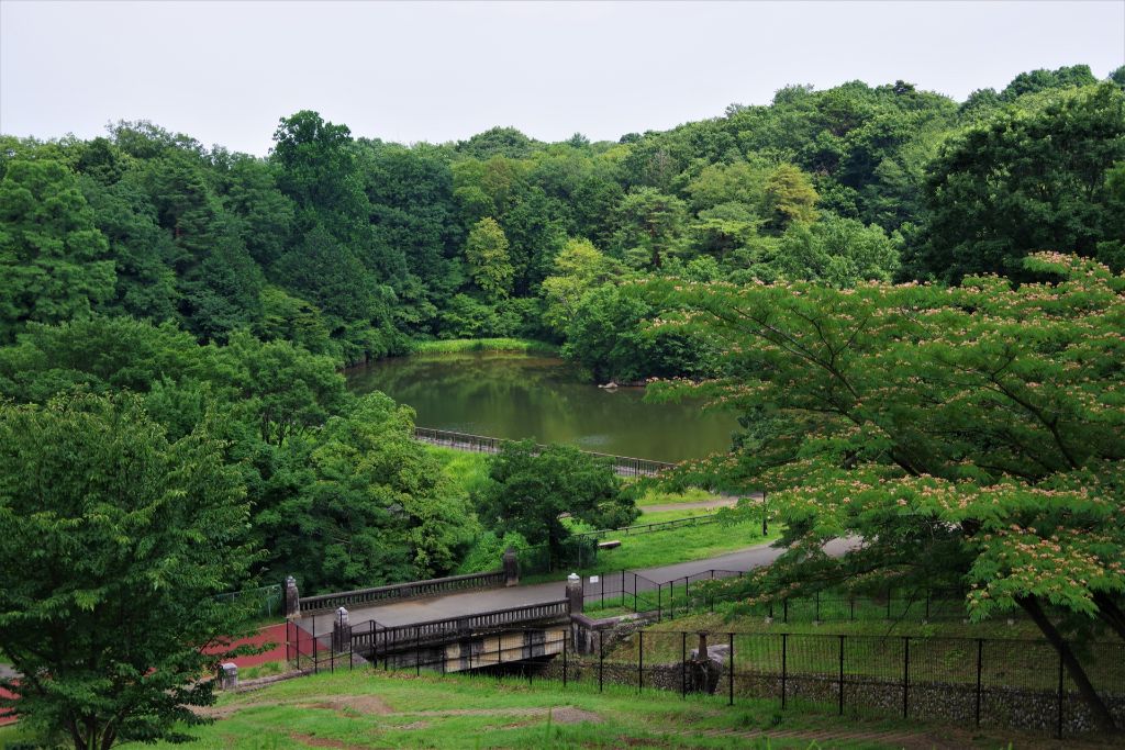 東京都 ファミリーにおススメ 都内でサイクリングを楽しめる10の公園 Tabirin たびりん