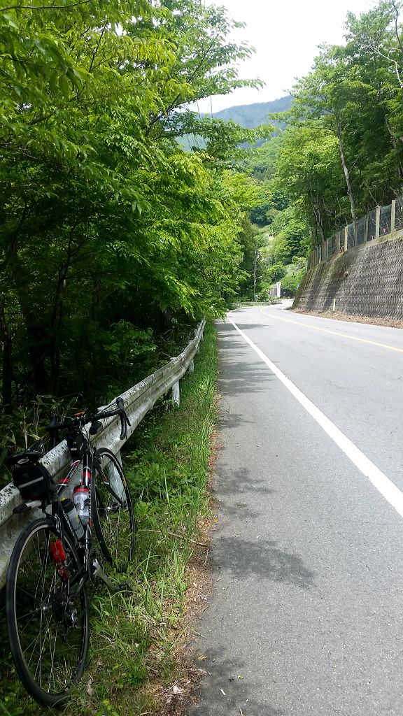 新緑に煙る道志みち