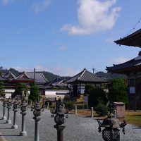 酒見寺