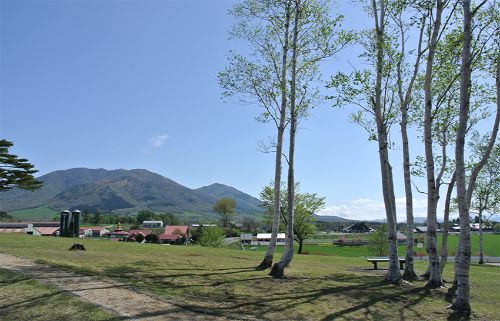 14_ひるぜん高原 高原コース