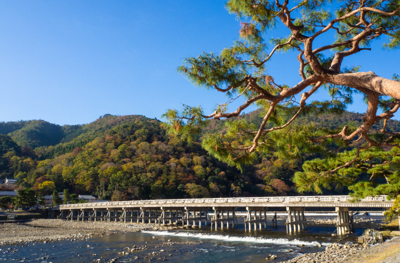 名勝　渡月橋